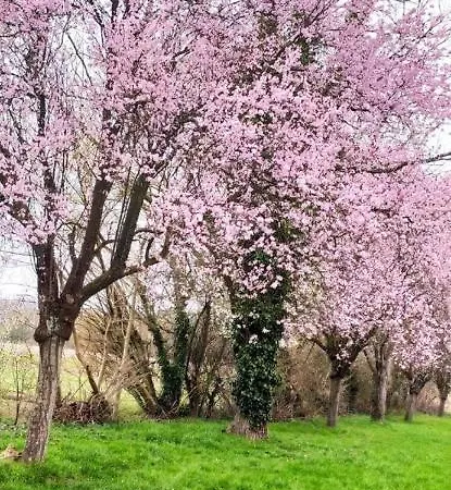 : Maison Vue Loire Hébergement de vacances Behuard