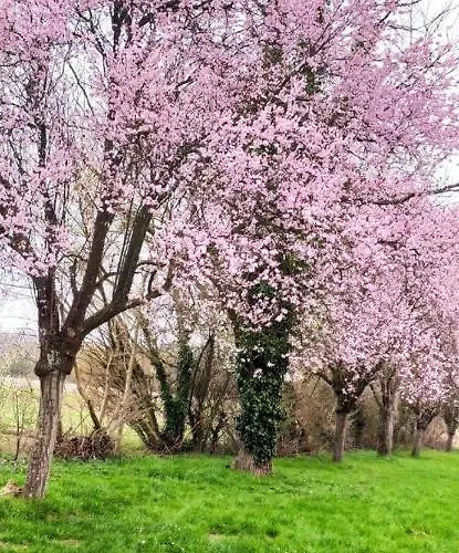 : Maison Vue Loire 度假居 Behuard